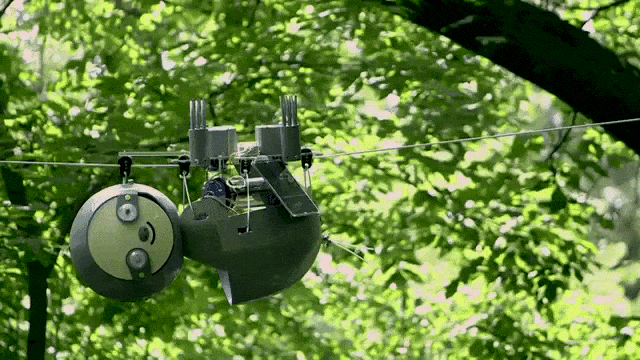 Robot Sloth Could Very Slowly Help Save World’s Endangered Ecosystems Robot Sloth Could Very Slowly Help Save World’s Endangered Ecosystems
