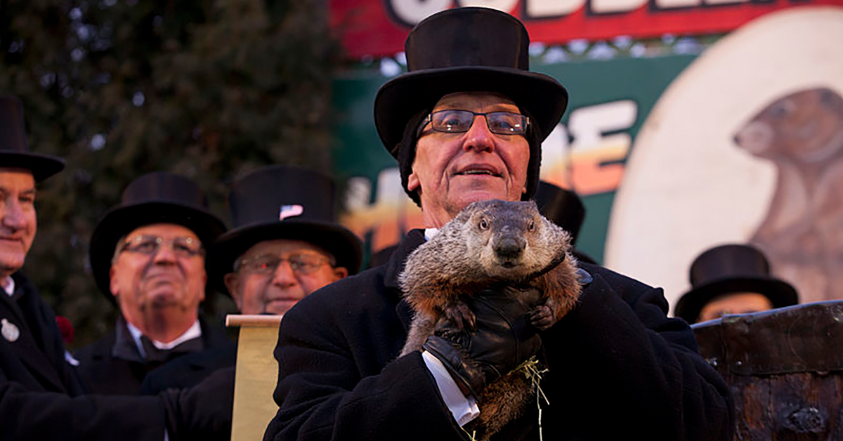 PETA Suggests Replacing Punxsutawney Phil with a Robot Groundhog(02)