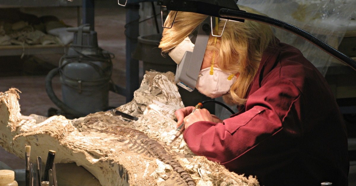 species lifespan fossils