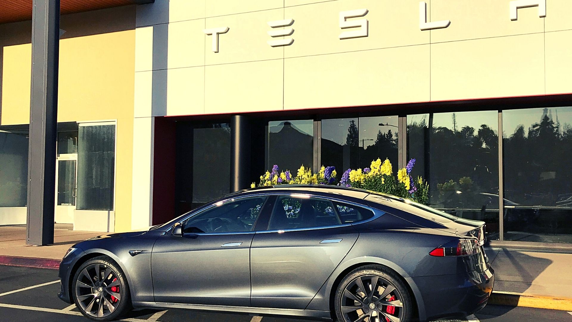 Tesla Has Scored a Record Order From Hertz for 100,000 EVs