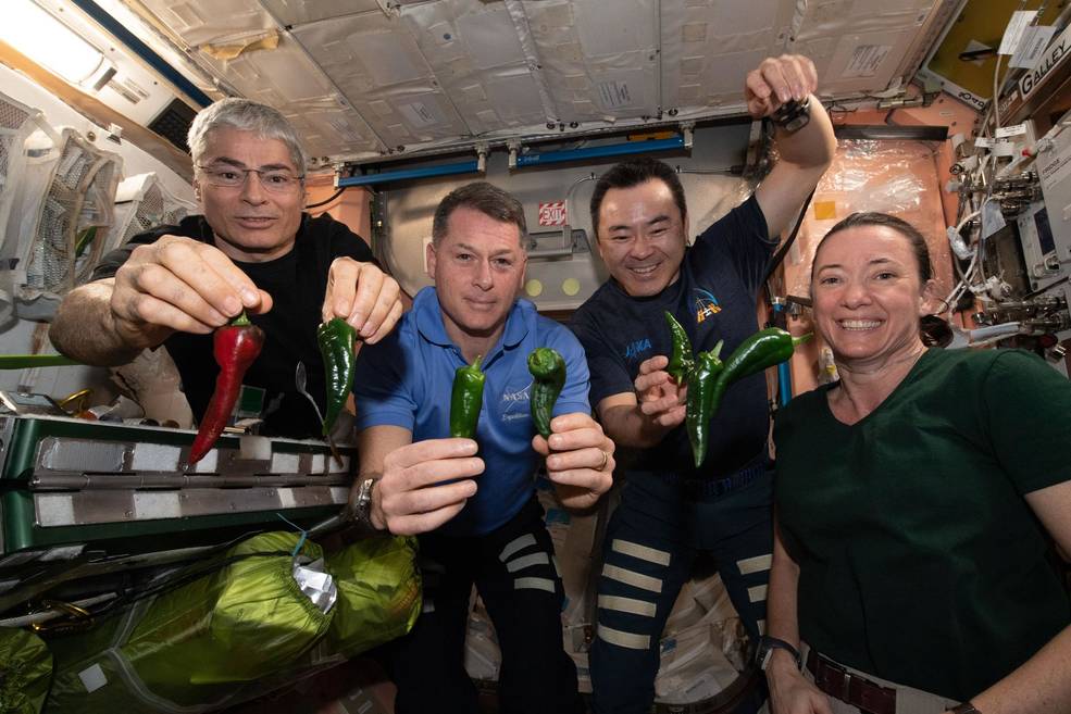 Here’s How NASA Astronauts Grew Perfect Peppers on the ISS Here’s How NASA Astronauts Grew Perfect Peppers on the ISS