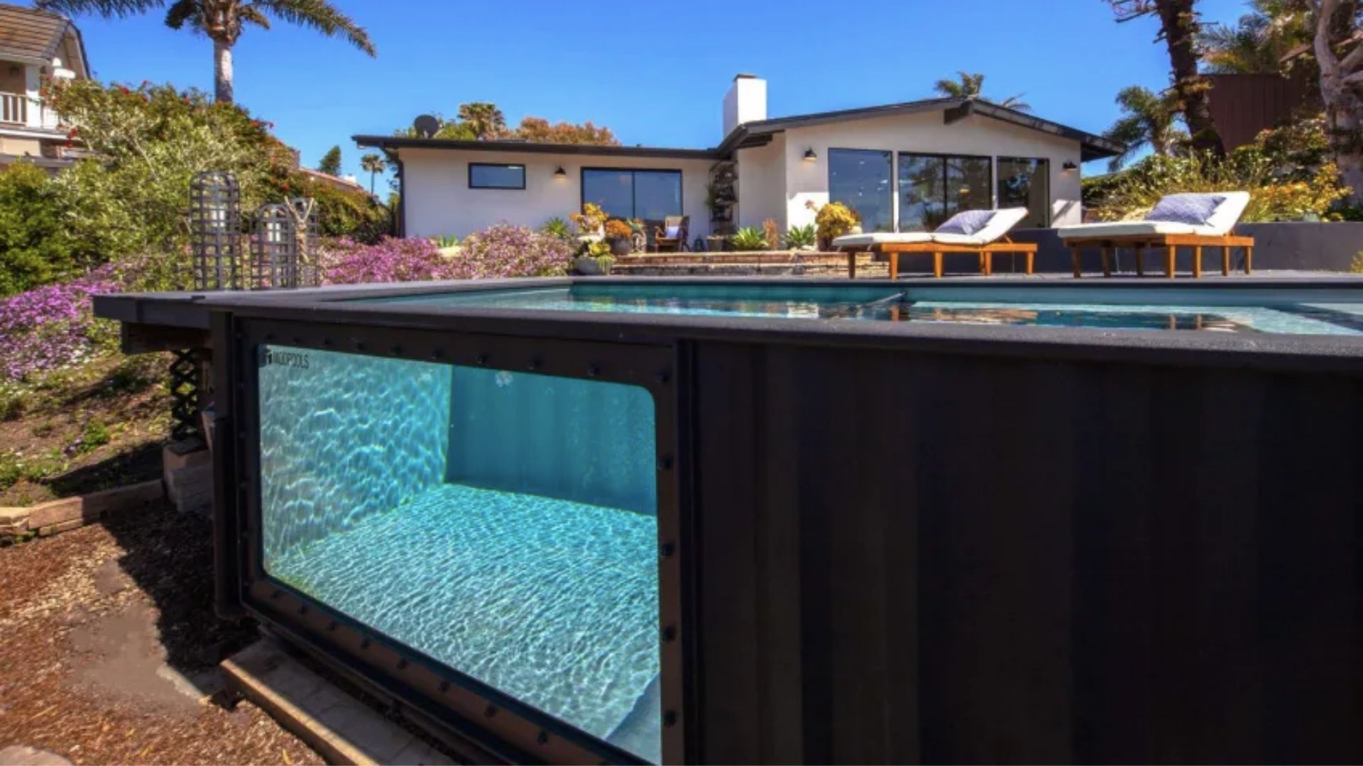 You Can Now Transform Shipping Containers Into Sustainable Swimming Pools
