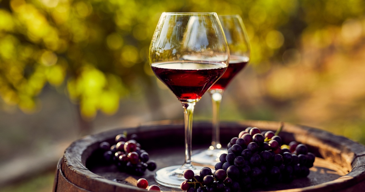 In Vino Veritas Find out What Characteristics Make AwardWinning Wines
