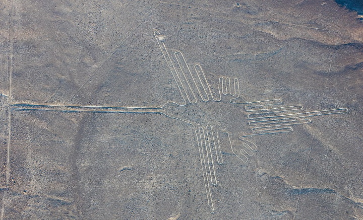 Nazca hummingbird Nazca hummingbird