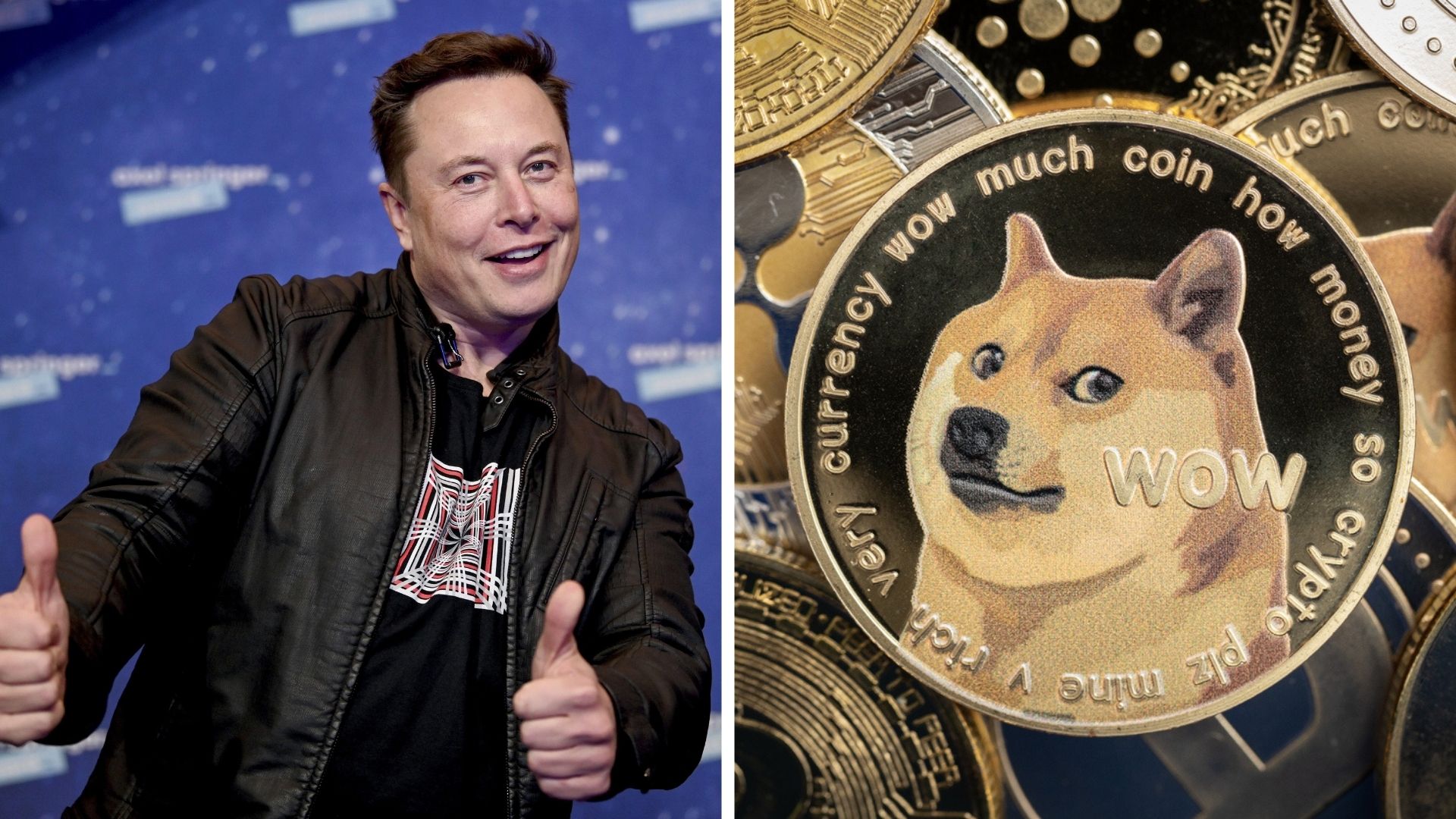 Elon Musk Tweets Tesla Now Accepts Dogecoin for Its Merch
