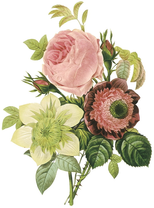 Flowers Flowers