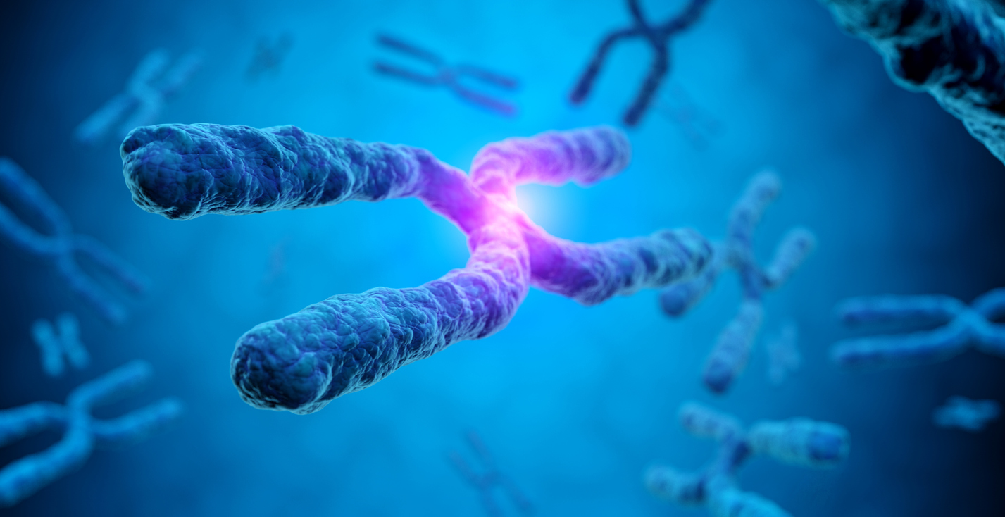 Junk Dna Debunked The Surprising Truth You Need To Know - iqnz1kq