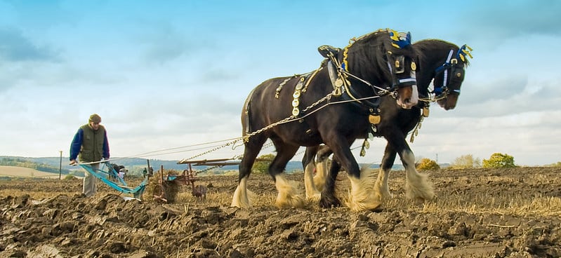 middle ages inventions heavy plow