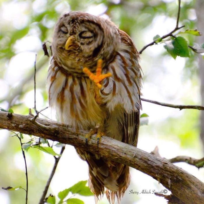 13 of the Most Unusual Photos of Wildlife Animals 13 of the Most Unusual Photos of Wildlife Animals