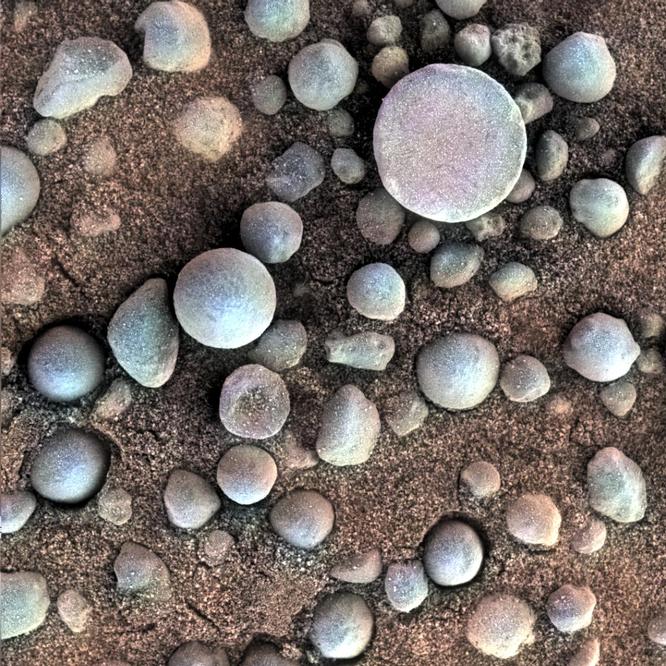 Blueberries Mars Blueberries Mars