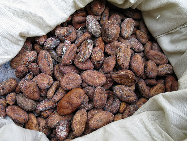 how chocolate is made beans