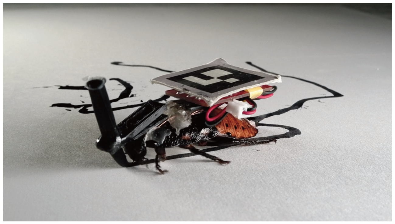 Robot Cockroaches Walk Around, Run Errands in Your House