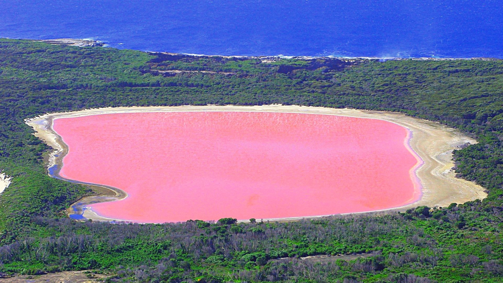 Pink Pollution An Argentina Lake Has Actually Turned Pink With Pollution