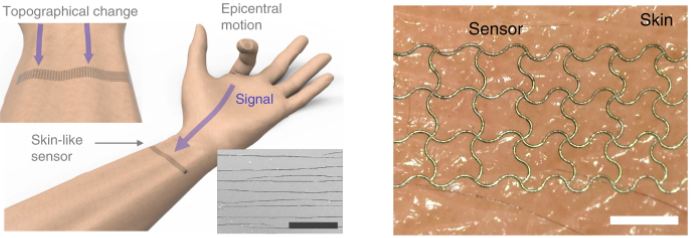 Deep-Learning E-Skin Can Decode Complex Human Motion Deep-Learning E-Skin Can Decode Complex Human Motion