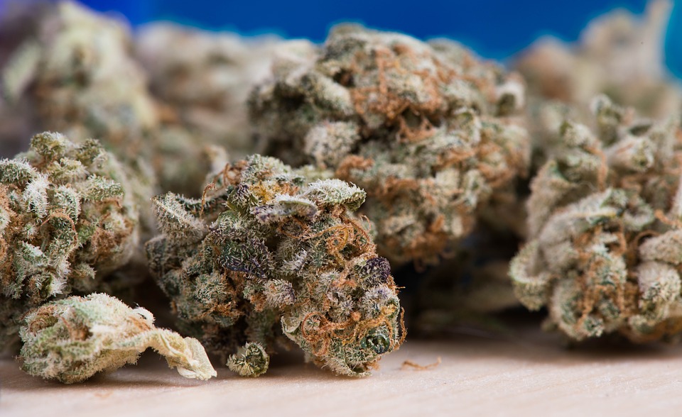 Medical Marijuana Now Available for Anxiety Disorders in Pennsylvania Medical Marijuana Now Available for Anxiety Disorders in Pennsylvania