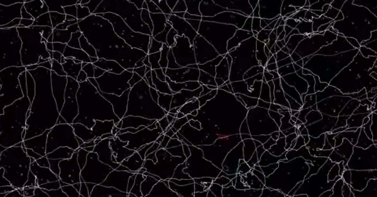 The Cosmos Might Have Defects in Spacetime Left Over From Its Formation The Cosmos Might Have Defects in Spacetime Left Over From Its Formation