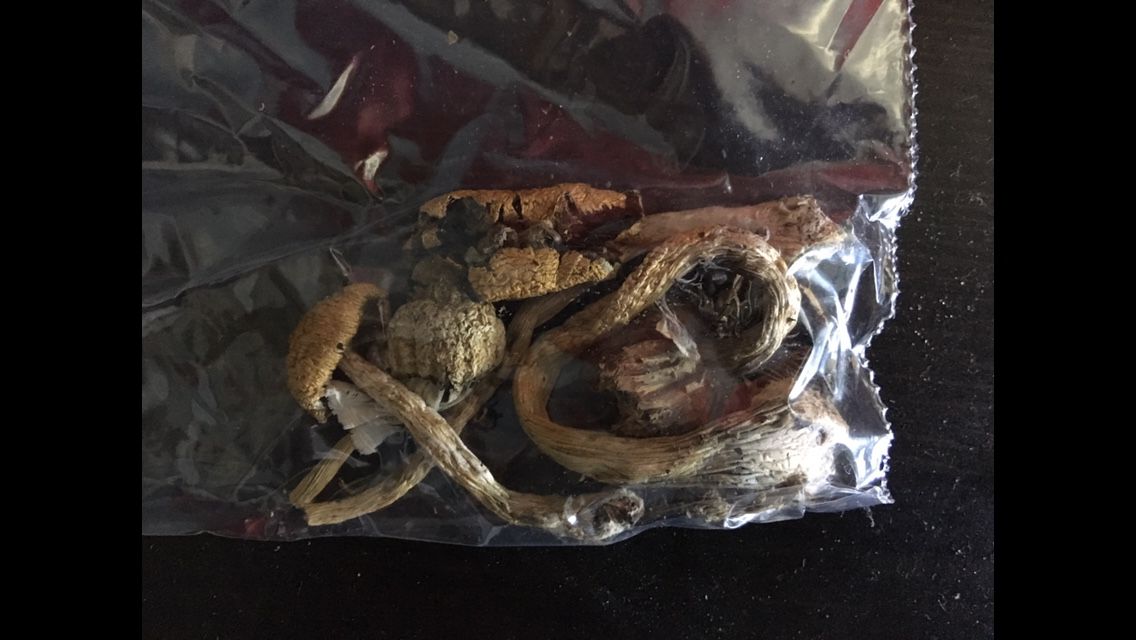 microdosing mushrooms