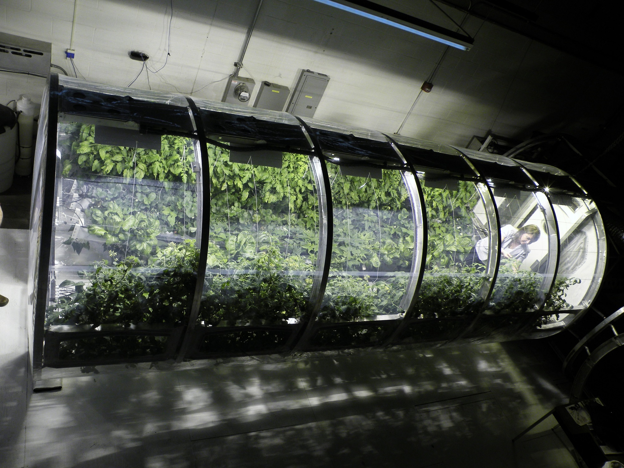 Taking Earth with us: Is space exploration "sustainable"? Taking Earth with us: Is space exploration "sustainable"?
