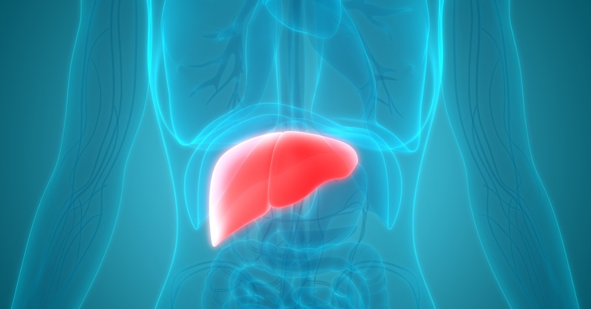 Researchers Create Mini-Liver From 3D Printer