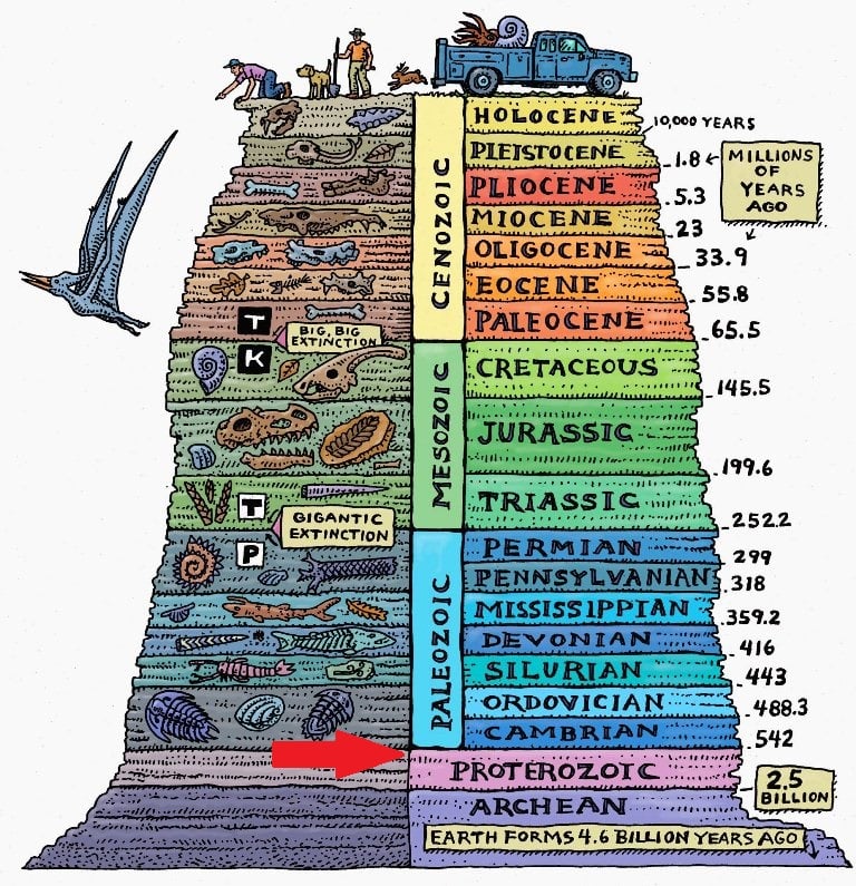 ediacaran time