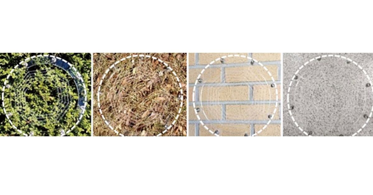 ionic-spiderweb-various-fields Ionic Spiderweb Various Fields