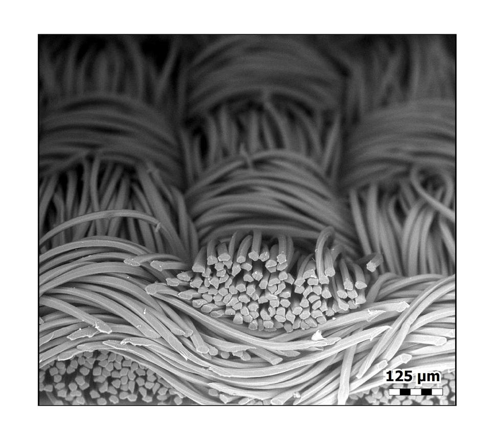 Cloth Face Masks Under a Microscope Reveal Spectacular Views Cloth Face Masks Under a Microscope Reveal Spectacular Views
