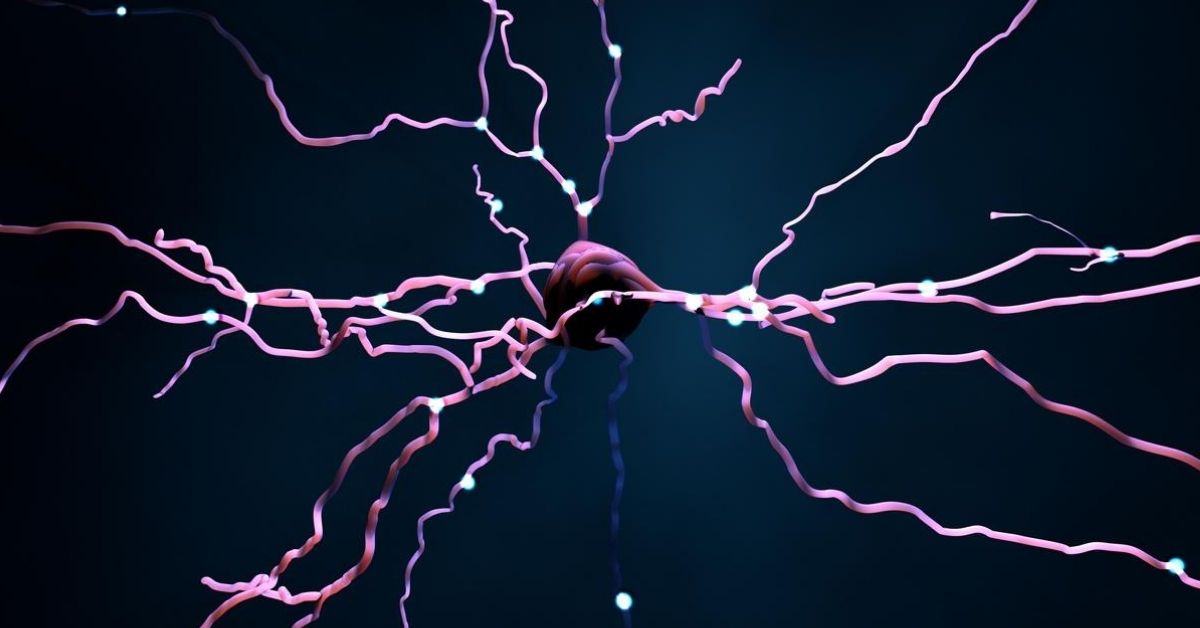 It's Possible To Tell If You're Dreaming Just By A Brain Signal Now