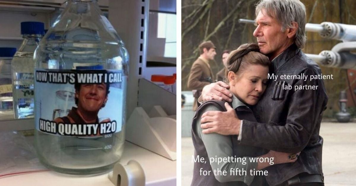 9 Hilarious LabBased Memes to Brighten Your Day Interesting Engineering
