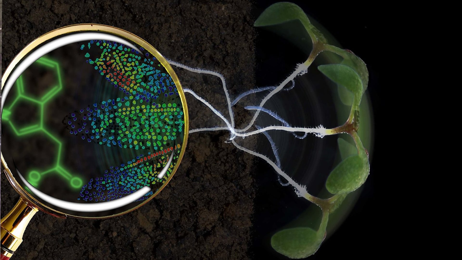 New Biosensor Lets Us See Life as Never Before