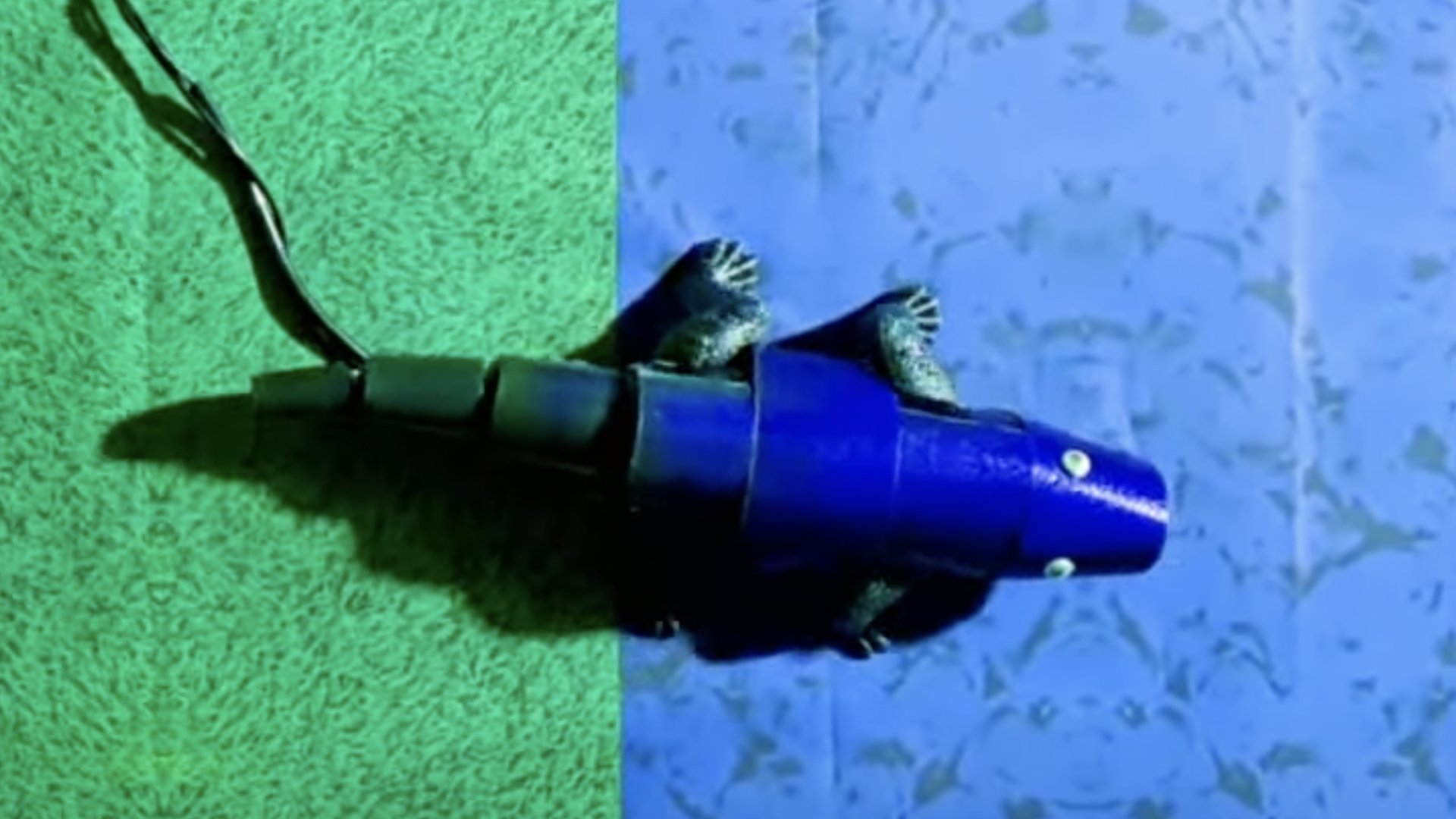 This Color-Shifting Robot Chameleon Could Soon Blend Into a Wall Near You