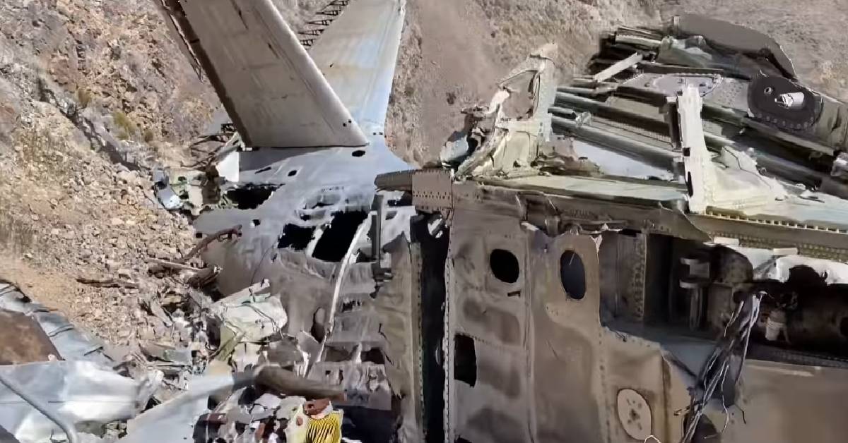 Hiker Goes on Hunt for Rare Plant, Finds Crashed Plane from 1952 Instead