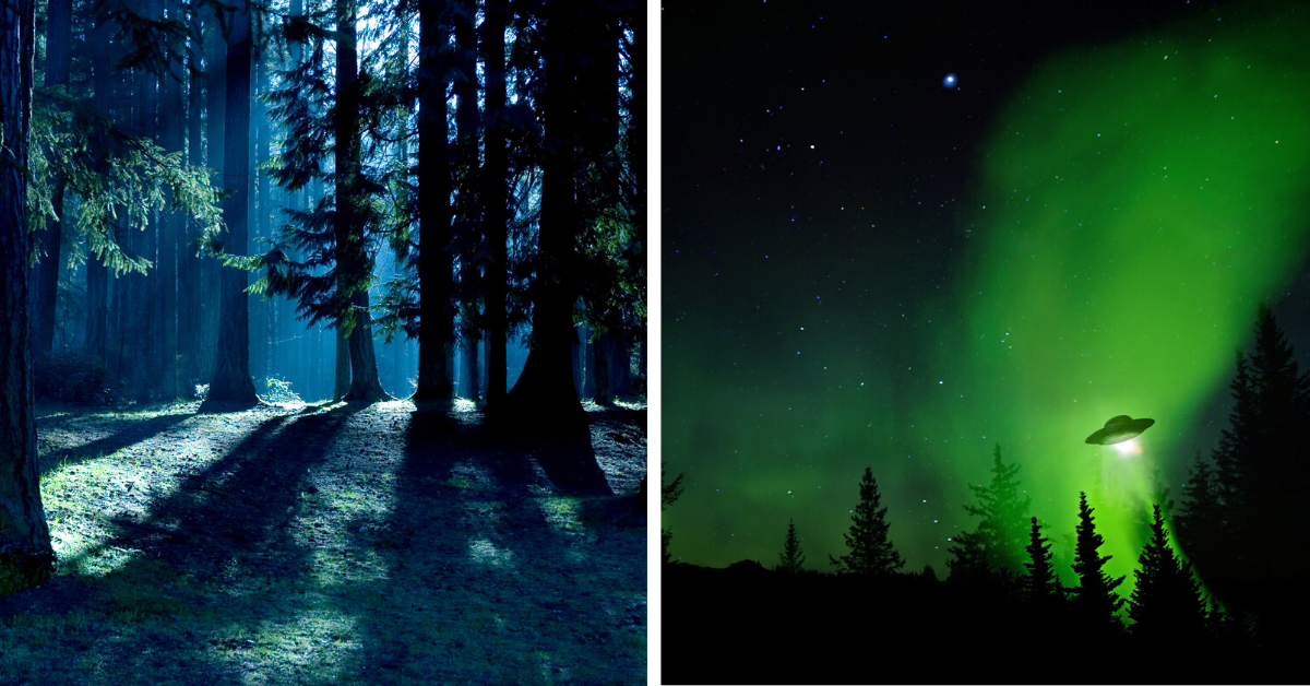 21 Facts About The Unresolved UFO Incident at Rendlesham Forest