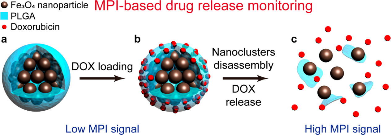 Chemotherapy Improved Through New Nanotechnology Chemotherapy Improved Through New Nanotechnology