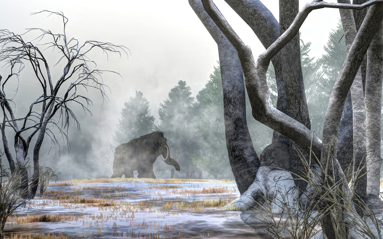 ice age