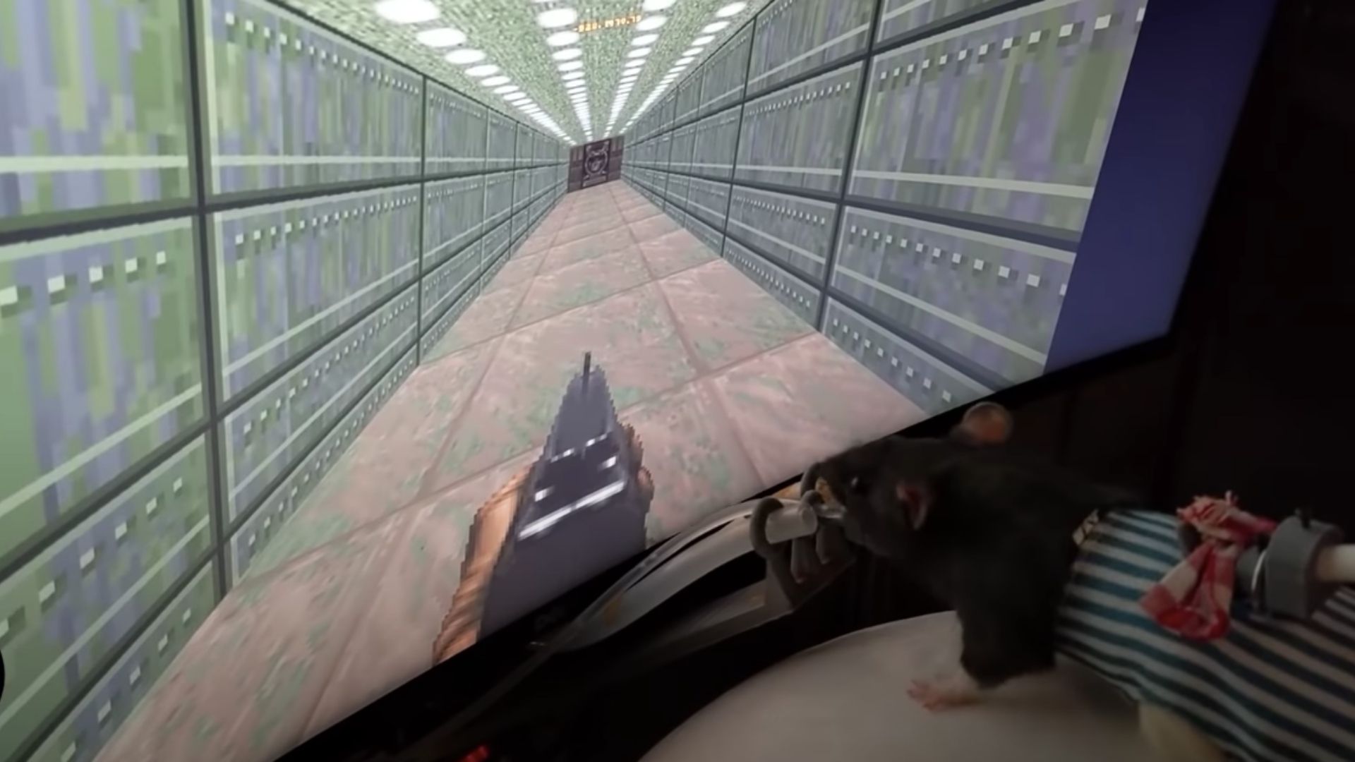 A Neuroscientist Trained Rats To Play Doom Using a Custom VR Setup