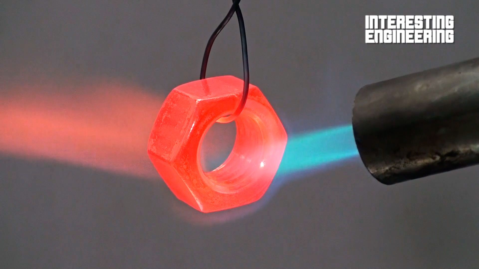 Turn an Old Nut Into a Beautiful Ring With This Handy Guide